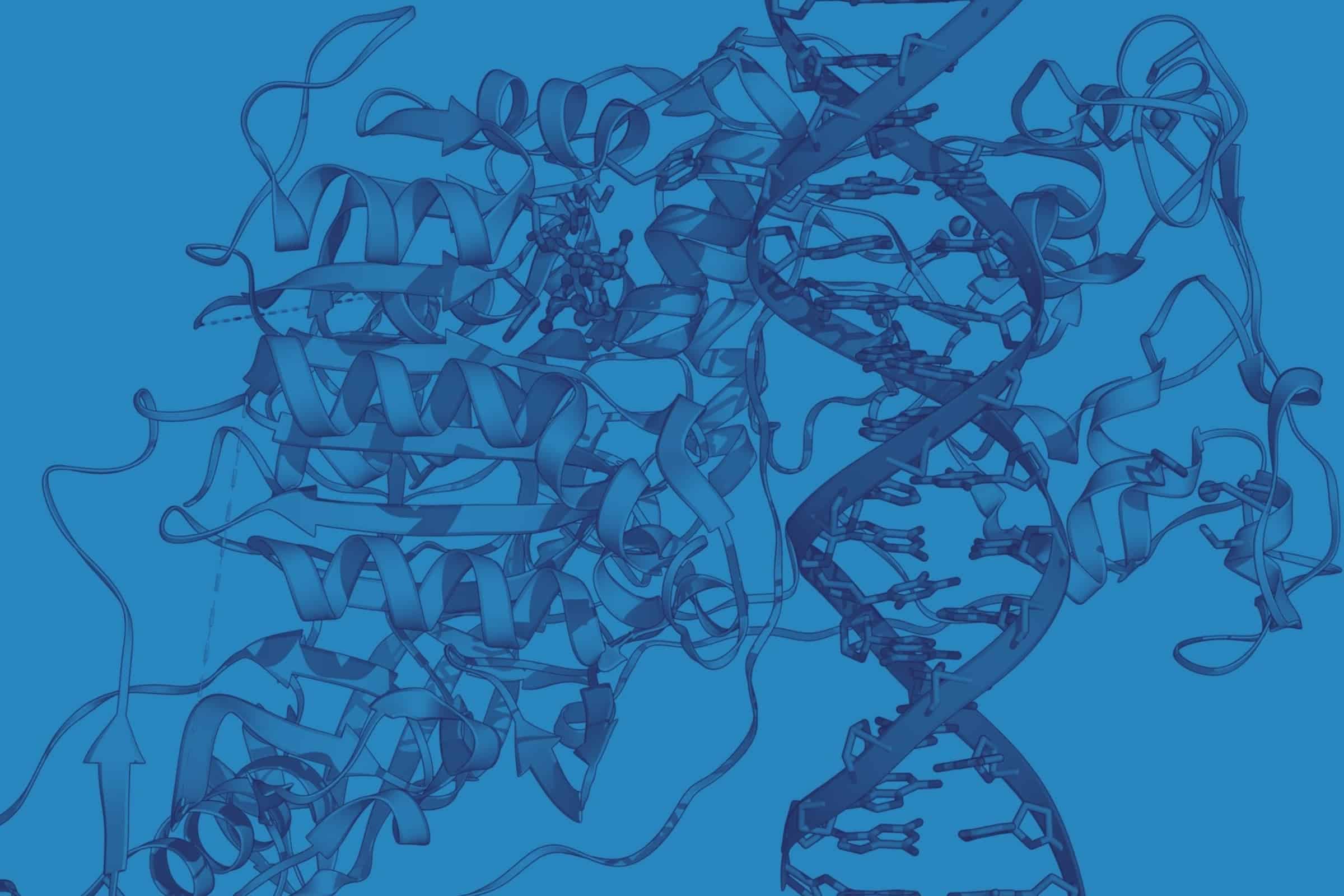 BioISI Pypka proteomics
